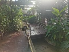 -南宫温泉水世界