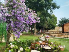 -HERRE·FARM 赫尔露营农场·团建聚会包场