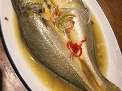 鸡汁蒸黄鱼-必点海鲜·鲅鱼水饺(鞍山西道店)