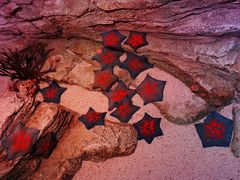 -沈阳海洋探索中心