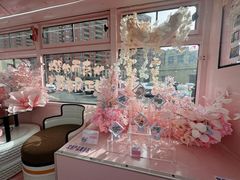 -高东镇樱花园