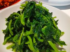 五粮液嫩豆苗-玫瑰厅上海菜(兴国路店)