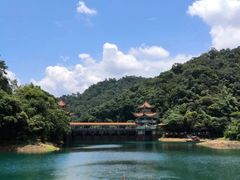 -鼎湖山风景区