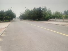-日照海滨国家森林公园