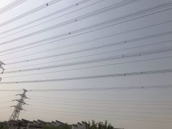 点击看大图 -安那般那皮肤年轻化ANAPANA
