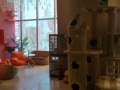 -藏猫猫咖啡主题馆(中央大道店)