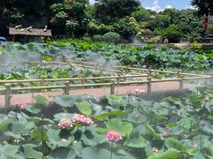 -广州莲花山旅游区