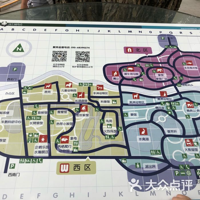 北京动物园的路线图图片