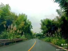 -东白山