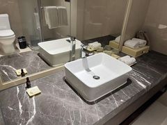 -深圳湾科技园丽雅查尔顿酒店