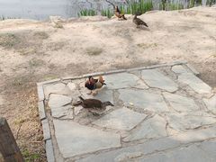 -颐和园