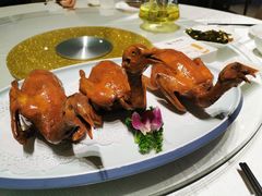 爆汁脆皮玻璃鸽-光明招待所(邦凯科技园店)