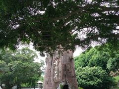 -青青世界