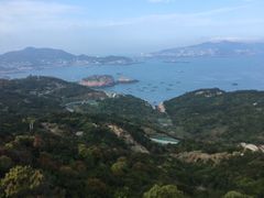 -枸杞岛
