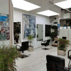 -Hair  Gallery