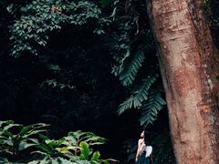 -中国科学院西双版纳热带植物园