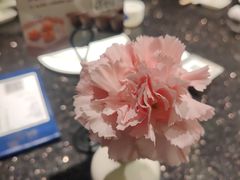 -杭儿风餐厅(来福士店)