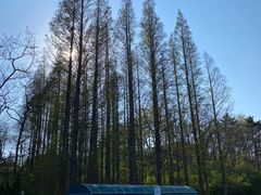 -棒棰岛宾馆景区