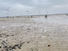 -长江澳风力发电景观区