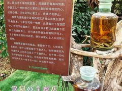 -呀路古热带植物园
