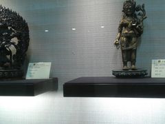 -紫竹院公园冰场