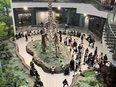 -辽宁古生物博物馆