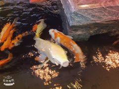 -优食坊·蒸汽海鲜(康盛路店)