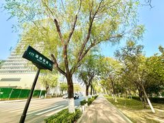 -灞河西岸滨河公园
