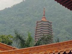 -深圳仙湖植物园