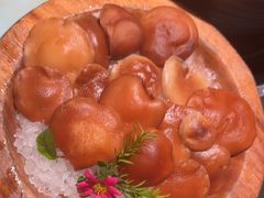 -季季山·云南野生菌火锅(上海首店)