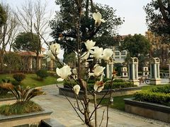 -上海东方佘山翰悦阁酒店·Vie全日制餐厅