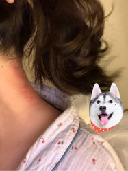 -芳香乐府疗愈空间·SPA·冥想