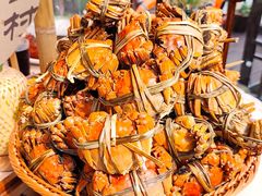 -蟹村草堂·苏式园林人文农家·大闸蟹