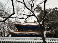 -北京国子监胡同