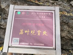 -北京上方山国家森林公园