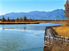 -野鸭湖国家湿地公园