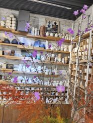 -今日陶艺(富力广场店)