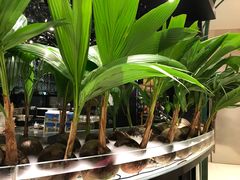 -凤园椰珍·臻品椰子鸡(保利时光里店)