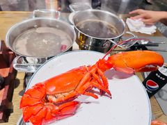 -博林天瑞喜来登酒店·西丽尚膳