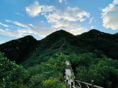 -大岭沟猕猴桃谷风景区