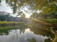 -成都市活水公园