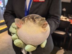 -永安鱼庄·镇江菜(东吴路店)