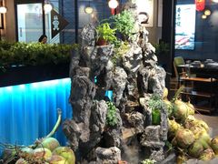 -东椰·海南椰子鸡火锅(朝阳门店)