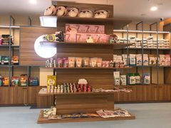 -萌兽医馆·犬猫专科·眼科中心·宠物医院(朝阳门分院)