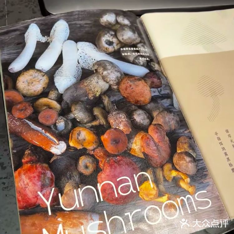 我发现一家让我疯狂上头的云南菜馆— 半山腰·云南菜