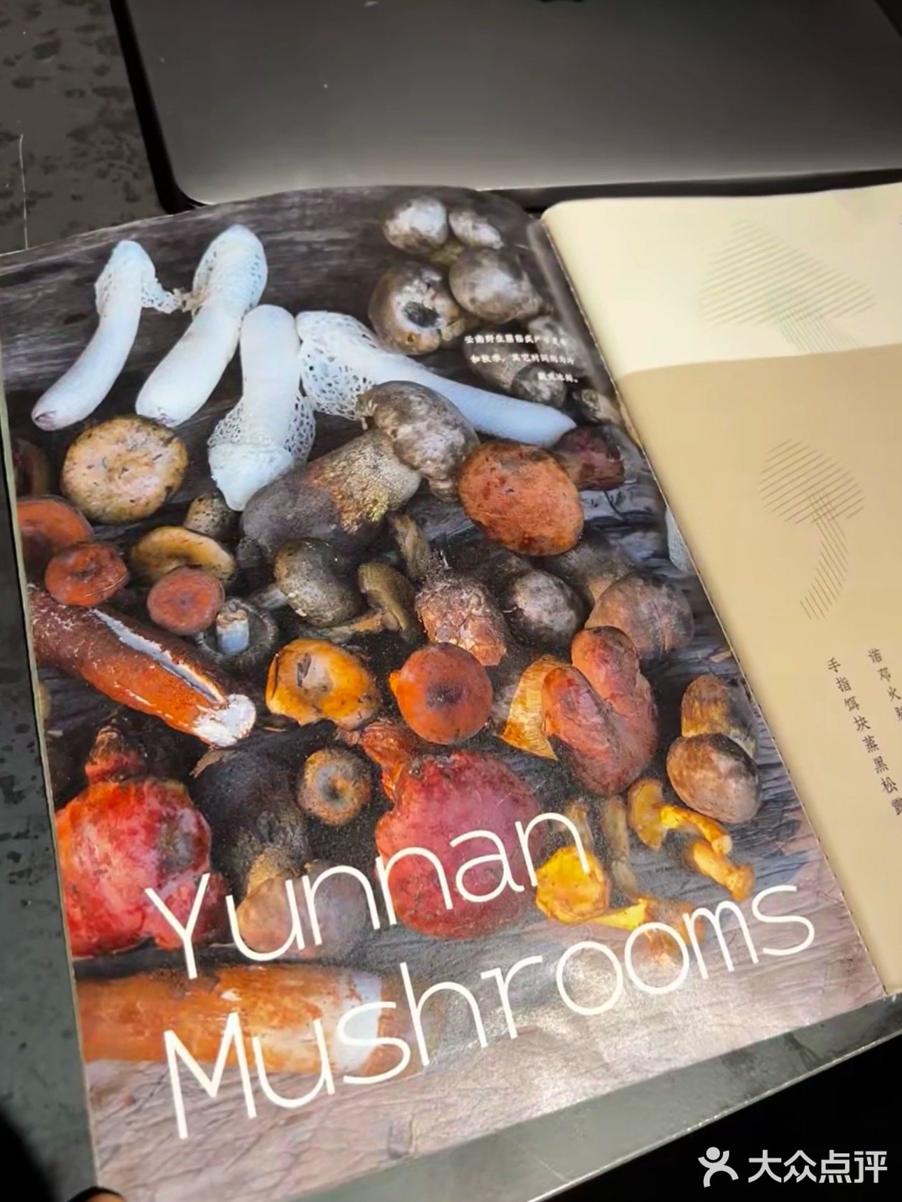 我发现一家让我疯狂上头的云南菜馆— 半山腰·云南菜