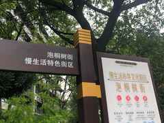 -泡桐树街