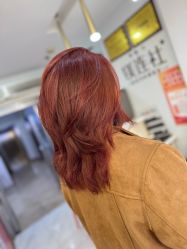 -镁连社·美联社