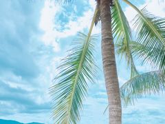 -三亚太阳湾柏悦酒店