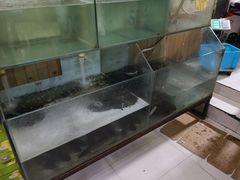 水产区-要德鱼庄(陕钢家属院店)